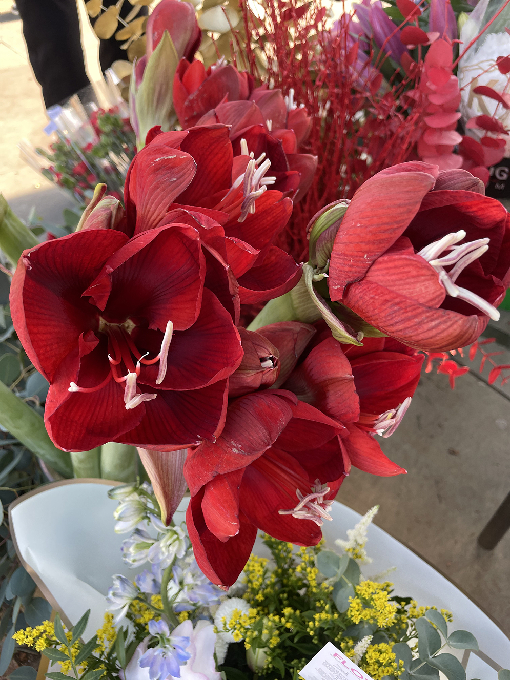 Moon gate installation